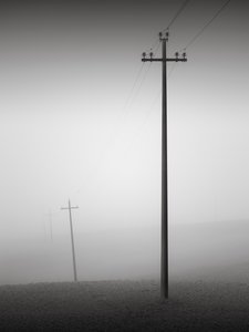 Solidarity, Tuscany, Italy, 2015 by Leopold Blonder