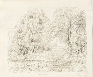 Tamworth - Rural View: ink drawing, nd [19th cent]