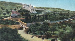 The Garden of Gethsemane, Jerusalem