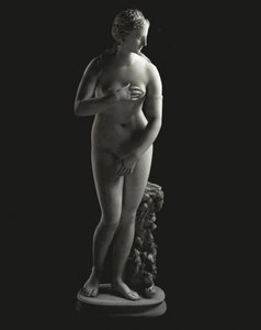 The Jenkins Venus by Unbekannt