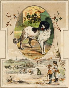 The dog. Engraving in "Mon premier Grand Alphabet". Bernardin-Bechet Edition, Paris, circa 1890. Illustrations by A. des Lilleuls.