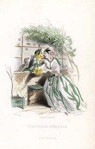 The tuber fairy and an elf daffodil are courted on a garden bench, next to a wall - Etching by Charles Geoffroy, based on an illustration by Jean Ignace Isidore Gerard for Les fleurs animees by Unbekannter Künstler