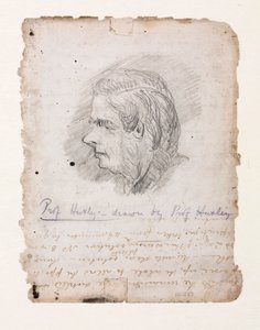 Thomas Henry Huxley, English biologist, mid-late 19th century by Unbekannt