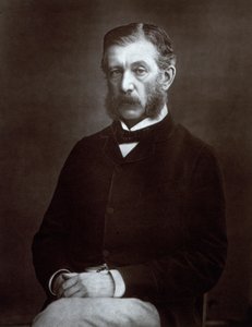 Three-quarter-length portrait of the Scottish High State Official Sir James Fergusson, Governor of Bombay