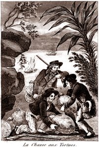 Turtle hunting by Unbekannter Künstler