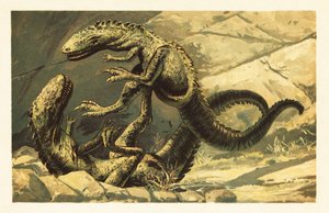 Two Battling Dryptosaurus aquilunguis (lithograph)