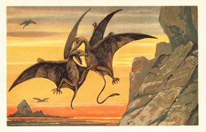 Two Pterodactyls Fighting in Mid Flight Against a Crimson Sky