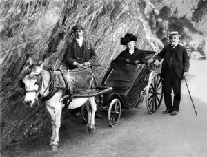 United Kingdom: A Donkey Drawn Invalid Carriage. 1906