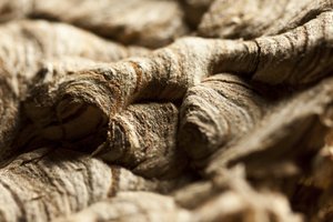 Wasp Nest II