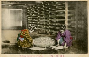 Women Maturing Silk Worm Cocoons
