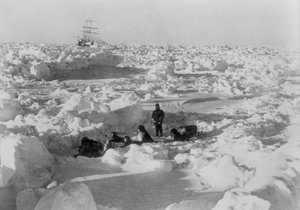 Imperial Trans-Antarctic Expedition: crew member hitched together sitting among ice floe, c.1914-17