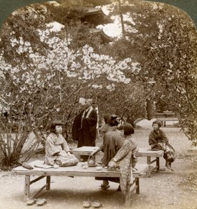 A Family Enjoying a Picnic under the Cherry Blossoms, Omuro Gosho, Kyoto, Japan