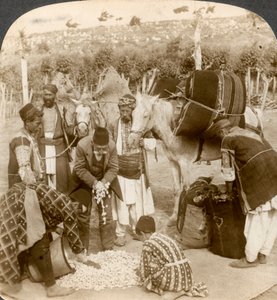Experts Purchasing Silk Cocoons for Export to France, Antioch, Syria by Underwood and Underwood
