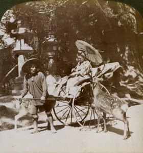 Girl Feeding Sacred Deer on Her Way to Prayers, Grounds of Kasuga Temple, Nara, Japan by Underwood and Underwood