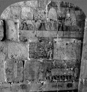 Queen Makeres Expedition to East Africa - Reliefs Carved at Der-el-Bahri, Thebes, Egypt
