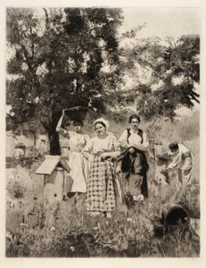 Among the Beehives