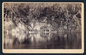 Under the Bluffs of the Withlacoochee River, Florida