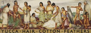 Yucca, Hair, Cotton, Feathers (mural study) by Unidentified