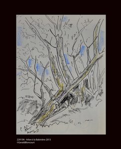 Tree at Babiniere - 2013 by Unknown
