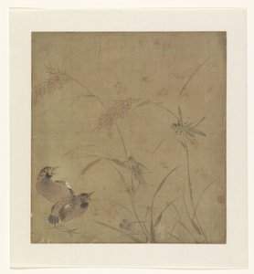 Album Page with a Depiction of Quails by Millet Stalks with Grasshoppers