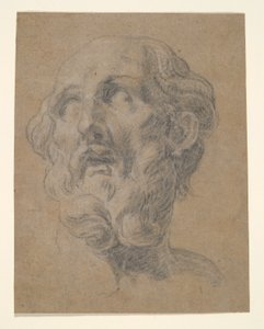 Head of a Man