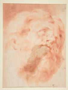 Head of a Man with Beard by Unknown
