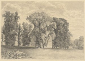 Meadow and Trees by Unknown