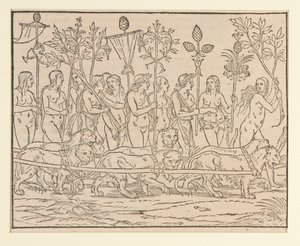 Page from a Copy after Colonna by Unknown