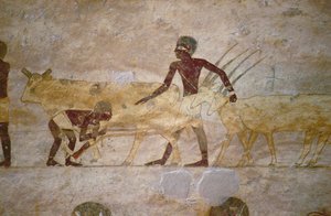 Procession with Cattle and Gazelles, Detail from a Tomb Wall Painting, Egyptian, Old to Middle Kingdom