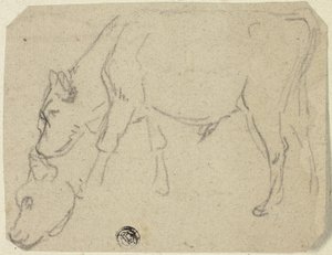 Sketches of Grazing Bull, Cow
