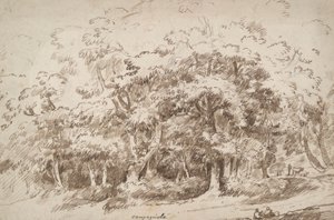 Study of Trees by Unknown