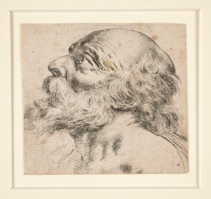 Untitled (Bearded Man, Looking Up to Right) by Unknown