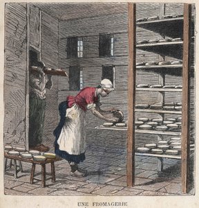 A Cheese Factory. 19th century illustration. Bianchetti Collection