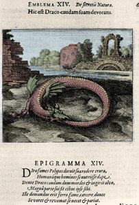 A dragon beating his tail (or Ouroboros). Plate taken from the trek of alchemy 