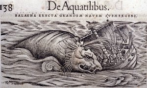 A whale destroys a boat