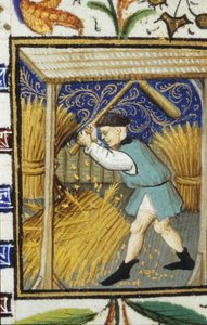 Allegorical representation of August. A peasant beating wheat. Miniature of a 14th century manuscript. by Unknown artist