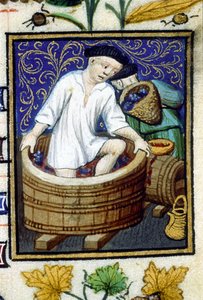 Allegorical representation of September. Harvest, grape stripping. Miniature of a 14th century manuscript by Unknown artist