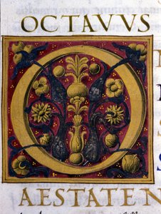 Alphabet: miniaturized letter O by Unknown artist