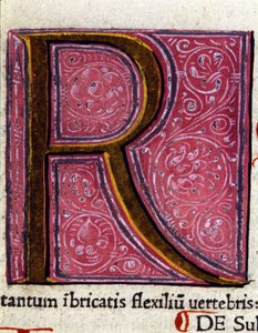 Alphabet: miniaturized letter R by Unknown artist