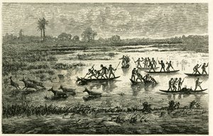 Antelope hunting, annual hunting during migration, antelopes slowed down in the river water are slaughtered by Marutse warriors, who pursue them in balance on canoes. Engraving to illustrate the story Au pays des Marutses, in 1875-1879, by Dr. Emile Holub by Unknown artist