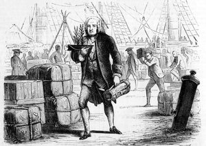 Bernard de Jussieu (1699-1777), French botanist and naturalist, reporting cedar from Lebanon