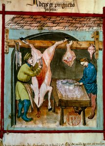 Butchery: the equarrising of a pig