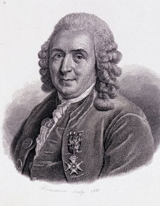 Carl Von Linné Swedish naturalist and writer (1707 - 1778) - in 