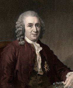 Carl von Linné by Unknown artist