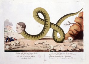 Cartoon about Napoleon I represented as a snake. Snake of Africa under arms, in France he first came to cover his nakedness; Scourge of homeland and humanity, the monster lived only with blood and tears. - in Napoleon I, caricatures, dummy collection. 1814