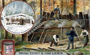 Chromolithography, Liebig image.