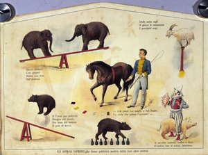 Circus: Different Types of Shows Featuring Learned Animals by Unknown artist