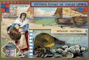 Collection of mussels and oysters - Liebig chromolithography, c.1900