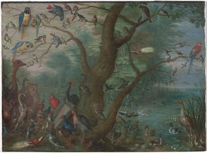 Concert of Birds