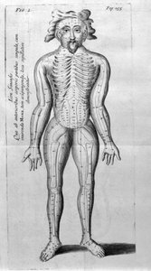 De Acupunctura by W.Ten Rhijne. London 1683. First Western text dealing with Acupuncture. by Unknown artist